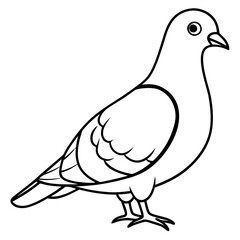 Simplistic Pigeon Line Art Vector