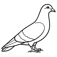 Obraz premium Simplistic Pigeon Line Art Vector