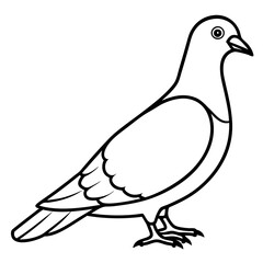 Simplistic Pigeon Line Art Vector
