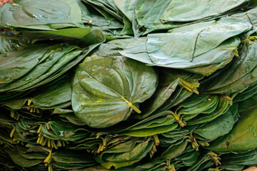 Obraz premium colorful fresh vegetables on a farmers market in sri lanka