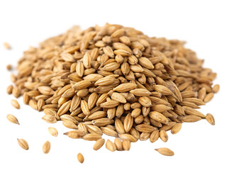 Pile of malted barley grains studio shot isolated on white background
