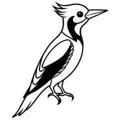 Single Line Woodpecker Vector Art