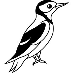 Single Line Woodpecker Vector Art