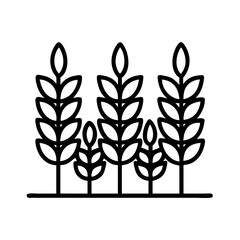 Illustration of wheat field agriculture crop farm harvest grain rye barley plant oat field wheat