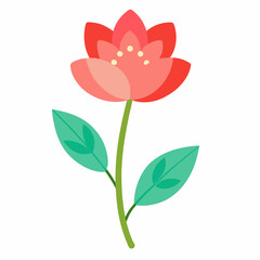 Beautiful Spring red flower isolated on white background. Summer flower background. Spring flower background aesthetic.