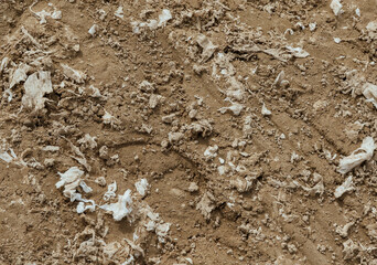 Polluted Soil Surface with Litter and Waste Showing Environmental Damage and Land Preparation Challenges