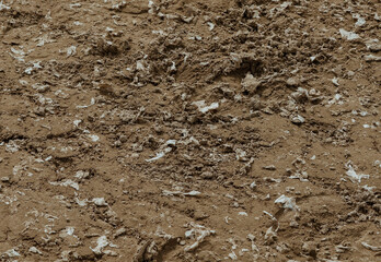 Polluted Soil Surface with Litter and Waste Showing Environmental Damage and Land Preparation Challenges