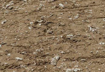 Polluted Soil Surface with Litter and Waste Showing Environmental Damage and Land Preparation Challenges