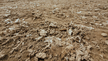 Polluted Soil Surface with Litter and Waste Showing Environmental Damage and Land Preparation Challenges