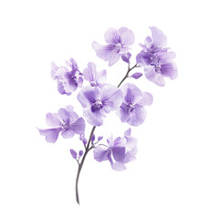 Vibrant Purple Flowers on a Transparent Background