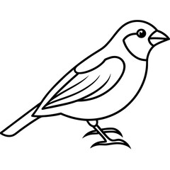 Obraz premium Single-Line Finch Vector Design