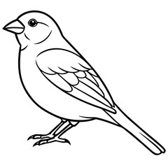 Single-Line Finch Vector Design