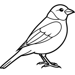Single-Line Finch Vector Design