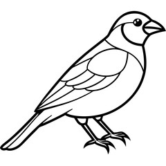 Single-Line Finch Vector Design