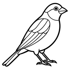 Single-Line Finch Vector Design