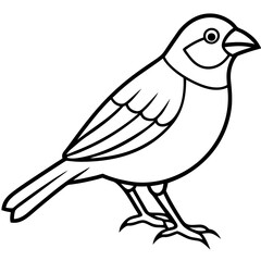 Single-Line Finch Vector Design