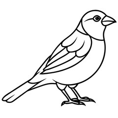 Obraz premium Single-Line Finch Vector Design