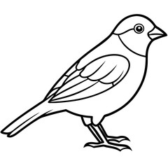 Single-Line Finch Vector Design