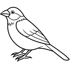 Single-Line Finch Vector Design