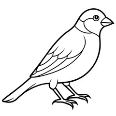 Single-Line Finch Vector Design
