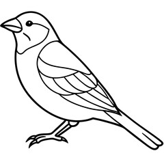 Single-Line Finch Vector Design
