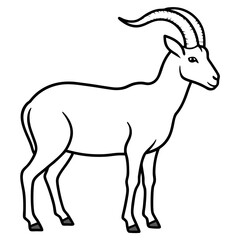 Sleek Ibex Line Art Vector