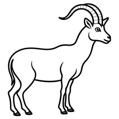 Sleek Ibex Line Art Vector