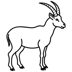 Sleek Ibex Line Art Vector