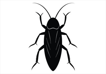 cockroach  silhouette isolated on white background