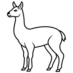 Sleek Vicuna One-Line Vector Art