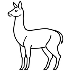 Sleek Vicuna One-Line Vector Art