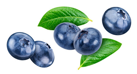 Flying blueberry isolated on white background