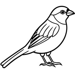 Sparrow Outline One Line Vector Design