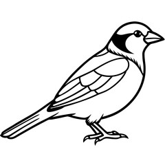 Obraz premium Sparrow Outline One Line Vector Design