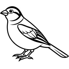 Sparrow Outline One Line Vector Design