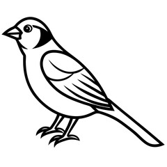 Sparrow Outline One Line Vector Design