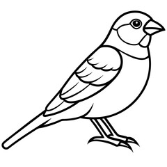 Sparrow Outline One Line Vector Design