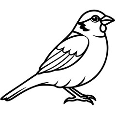 Sparrow Outline One Line Vector Design