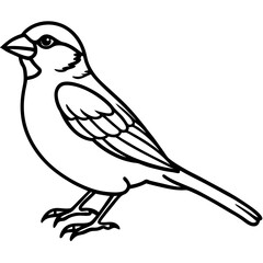 Sparrow Outline One Line Vector Design