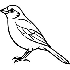 Obraz premium Sparrow Outline One Line Vector Design