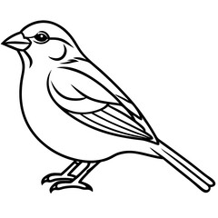 Sparrow Outline One Line Vector Design