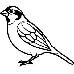 Sparrow Outline One Line Vector Design