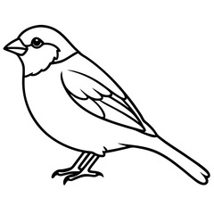 Sparrow Outline One Line Vector Design