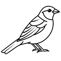 Sparrow Outline One Line Vector Design