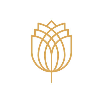recommend clip art: tulip rose flower flat line logo design