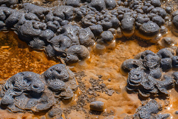 Travertine formations deposited by hot spring water run off, Yellowstone National Park