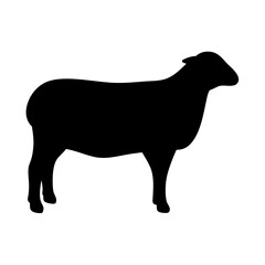 Silhouette of a standing sheep, transparent . in black, on a , an abstract representation