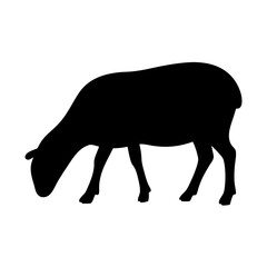 Silhouette of a Grazing Sheep Against , transparent . a Simple Black and Animal Illustration