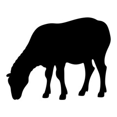 A Black Silhouette of a Sheep transparent . Grazing Quietly on a Plain