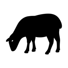 A black silhouette of a sheep grazing with its head down, transparent . on
